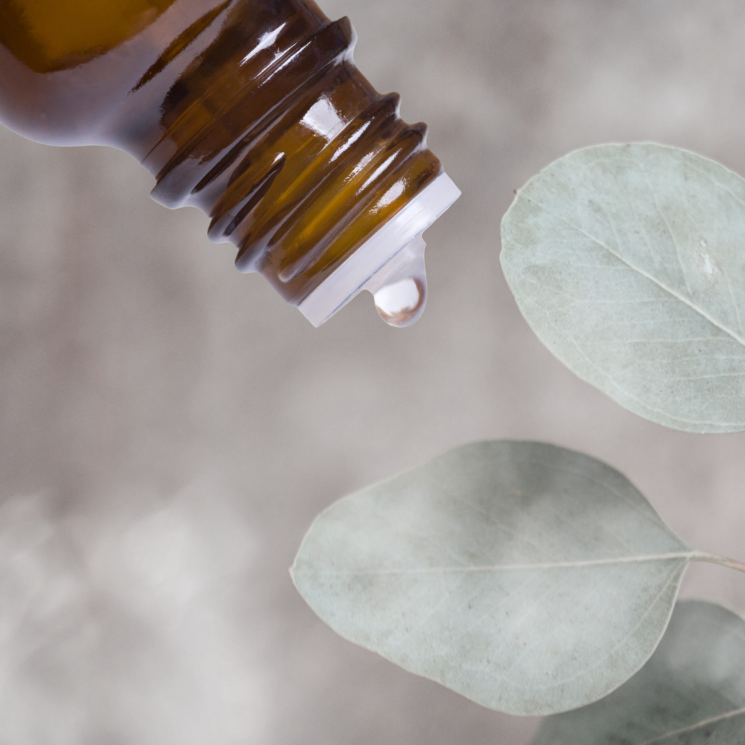 Eucalyptus Essential Oil – 10ml